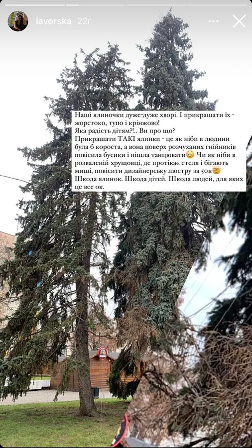У центрі Луцька всихає тріо різдвяних ялинок (фото)
