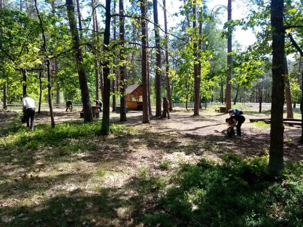 Як волинські лісівники провели День охорони довкілля (фото)