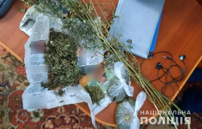 Волинянин зберігав вдома пів кіло «травки» та іржаві набої (фото)