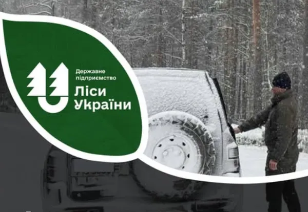 На Рівненщині затримали бурштинокопачів