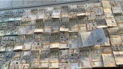 У валізах і на тілі: в Україну намагалися завезти готівку на 37 млн грн (фото)