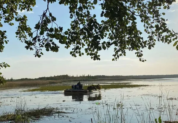 Знають лише місцеві: ТОП-5 секретних місць для риболовлі на Волині