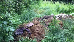 Біля Стиру на Вишкові знайшли гори гною і сміття (фото)