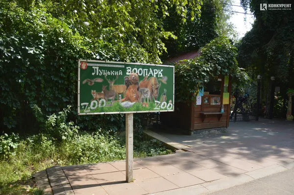 «Набільша проблема – люди з булками»,  – ветеринар розповів, чим хворіють мешканці зоопарку