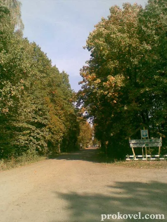 На Волині люди потерпають від сусідства із деревообробним підприємством