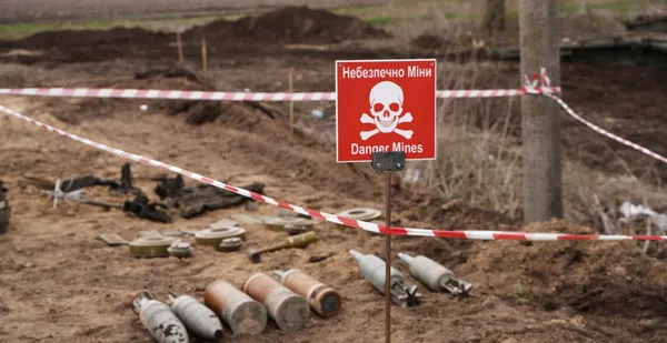 Complete demining of Ukraine will take more than 5 years