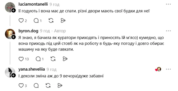 Гавкає вибірково і щодня на зміні: у Луцьку біля «Променя» чергує Білочка (фото)