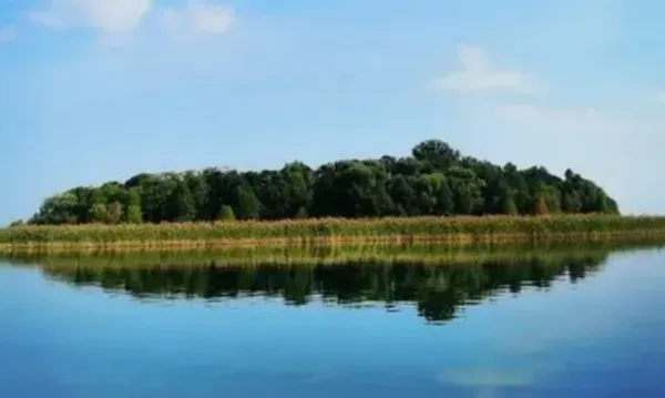 Де відпочити на Волині: топ-5 унікальних озер, де можна купатися і ловити рибу