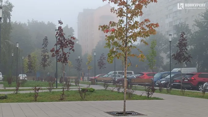 Сайлент Хілл по-луцьки: місто в тумані (фото)