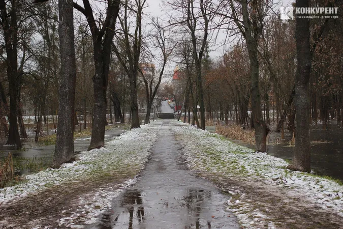Підтоплені дерева та відчайдушні бігуни: ранок у луцькому парку (фото)