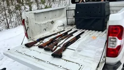 На Волині спіймали браконьєрів зі зброєю та рештками тварини (фото, відео)