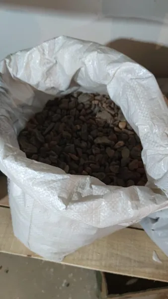На Волині оскаржили вирок підприємцю, який намагався збути понад 115 кг бурштину (фото)