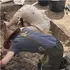 Страшна знахідка на Волині: на території зниклого села знайшли рештки 32 людей