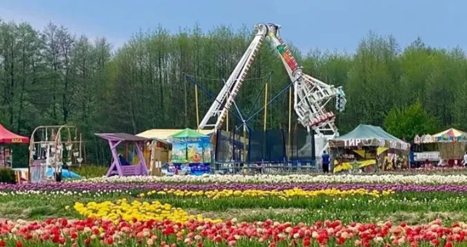 Фото ілюстративне