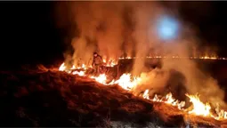 Волинь палає: за день трапилися десятки пожеж сухостою (фото)