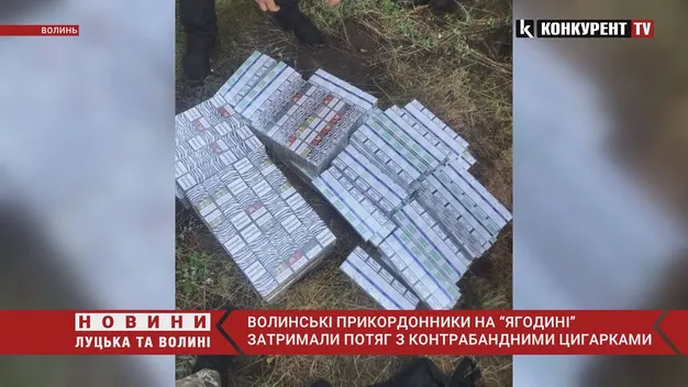 На «Ягодині» прикордонники знайшли контрабанду у потязі, що прямував до Польщі (відео)