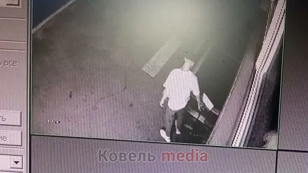 У Ковелі п'яний підліток пошкодив табличку для незрячих (відео)