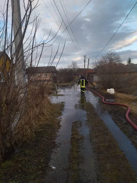 У Луцьку затопило підвали у багатоповерхівці (фото)
