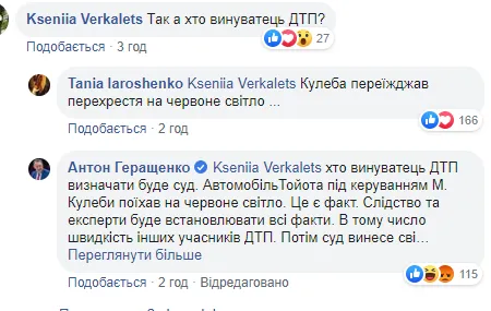Омбудсмен Микола Кулеба із синами потрапив у страшну аварію (відео)