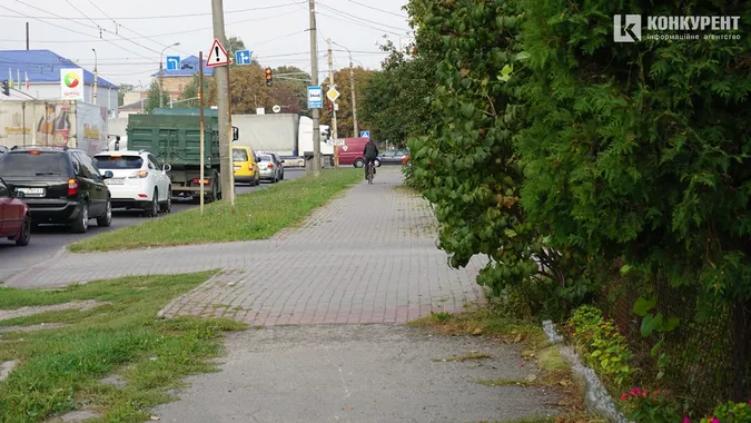 Квіти, песики, каштани: Дубнівська у Луцьку восени (фото)