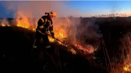 Суха трава, чагарники та очерет: на Волині вигоріли понад 2,5 га угідь (фото)