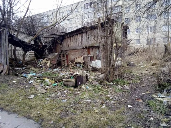 Кошмари на вулиці Рівненській: у Луцьку мішками рубають курей (фото)