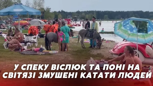 На Світязі у шалену спеку віслюк та поні змушені катати відпочивальників