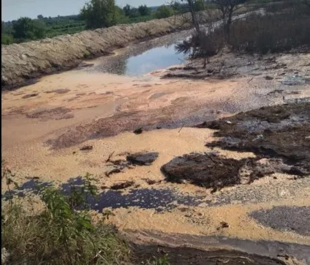 Зливали не мелясну барду, - офіційна заява Гнідавського цукрового заводу