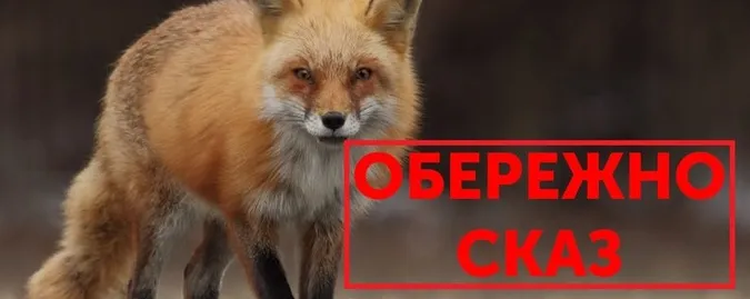 Держпродспоживслужба Волині купує кросовери за 2,4 мільйона для вакцинації тварин