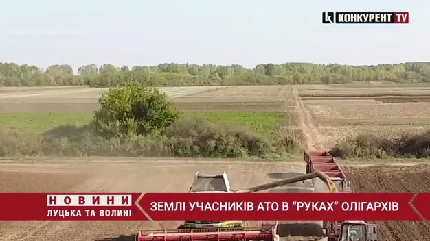 Головне у Луцьку: підсумки тижня