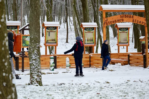 Волинські лісівники нагородили маленьких майстрів новорічних іграшок (фото)