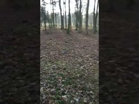 У Луцьку патрульні закладку з наркотиками викинули в канаву (відео)