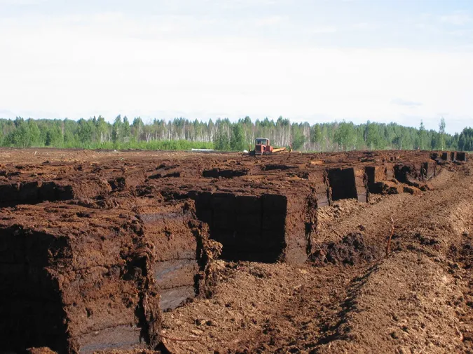 «Волиньприродресурс» може видобувати крім бурштину ще й торф