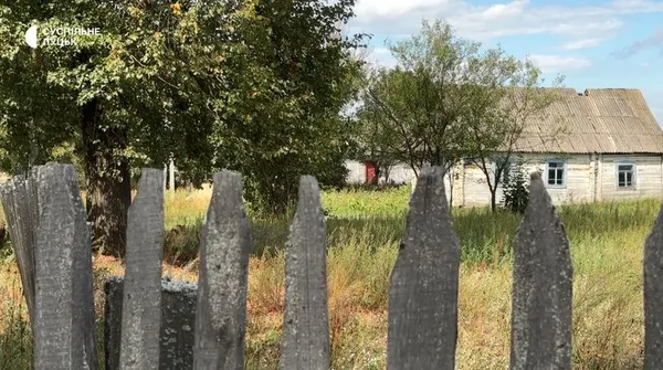 Ліс, Стир і 400-річний дуб: як живе село Куликовичі на Волині (фото, відео)