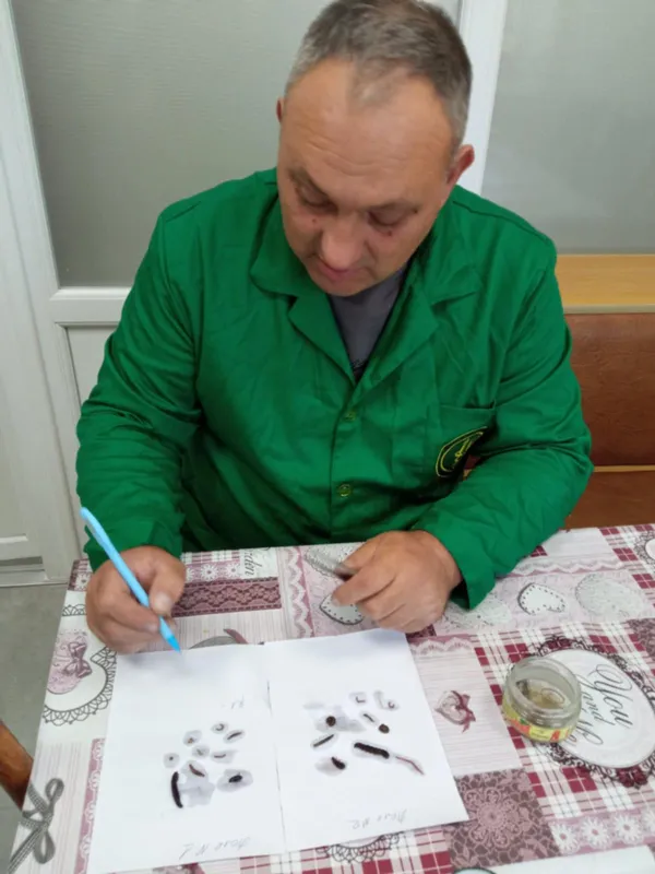 Осінній «чекап» полів: у ґрунтах Волині знайшли цілі колонії шкідників (фото)