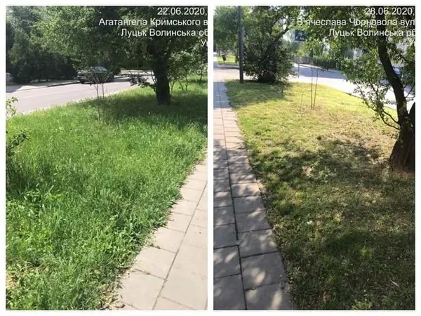 Не вище 15 сантиметрів: лучан змусили скосити траву (фото)