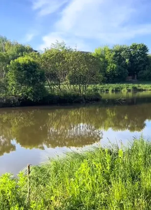 Де біля Луцька є ставок, у якому водиться форель і великі амури