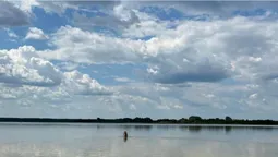 Невелике озеро з чистою водою: де на Волині можна покупатись серед лісу