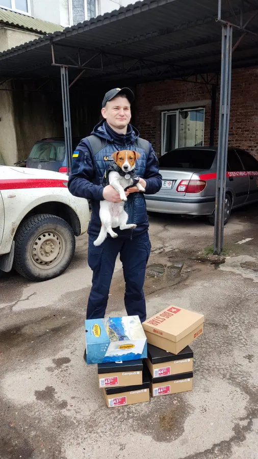 Популярний пес Патрон отримав передачу від луцьких волонтерів (фото, відео)