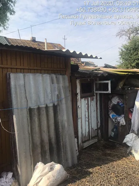 Сарай, де тримають кіз у старій частині Луцька, демонтують: готують рішення (фото)