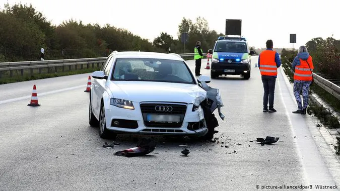 У Німеччині дві зебри втекли з цирку і влаштували ДТП