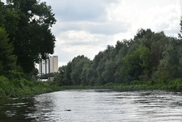 У Луцьку Стир чистять від повалених дерев (фото, відео)