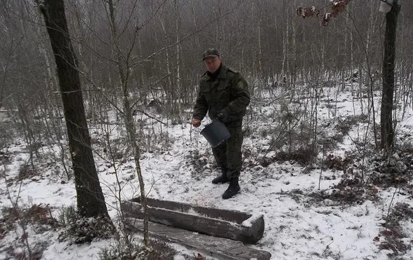 На Волині в лісгоспі встановили відеокамери 