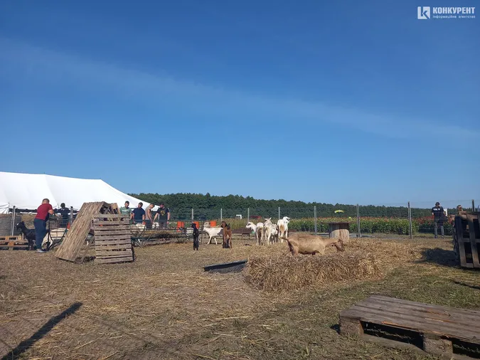 Розпочався фестиваль квітів «Осінь у Волинській Голландії» (фото)