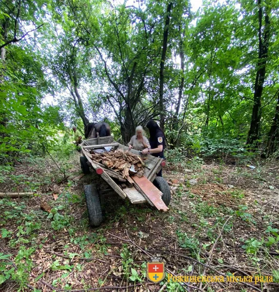 Не знали, куди дівати: у Рожищі вивезли сміття в лісосмугу (фотофакт)