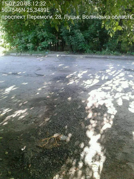 Луцьких комунальників змусили поприбирати за собою (фото)
