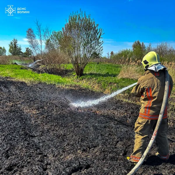 Суха трава, очерет і два торфовища: на Волині спалахнули 8 пожеж (фото)