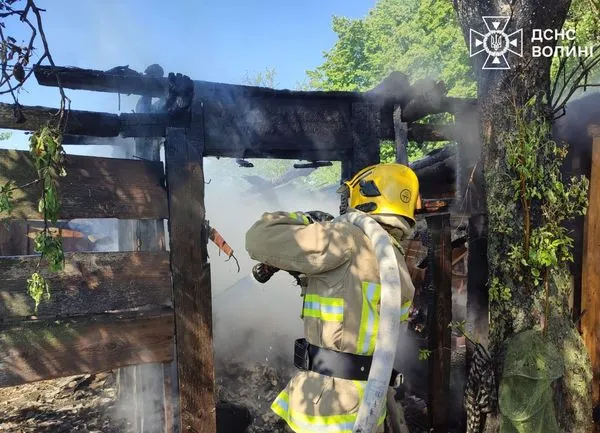 У Старій Вижві через необережне поводження з вогнем загорілося сміття (фото)