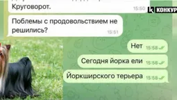 На окупованих землях загарбники знов їдять собак, – СБУ (відео)