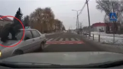 Опинився на капоті: у Луцьку на переході «фольксваген» зніс чоловіка (відео)